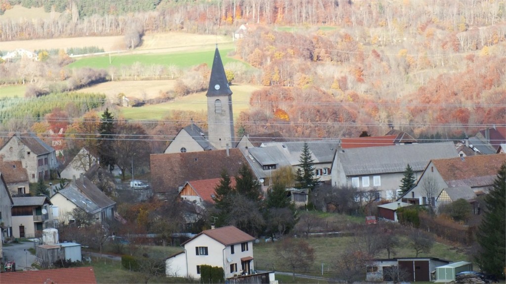 Poligny 9 Novembre 2011 131 retaille